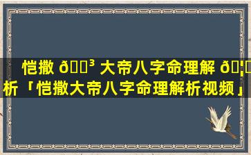 恺撒 🐳 大帝八字命理解 🦈 析「恺撒大帝八字命理解析视频」